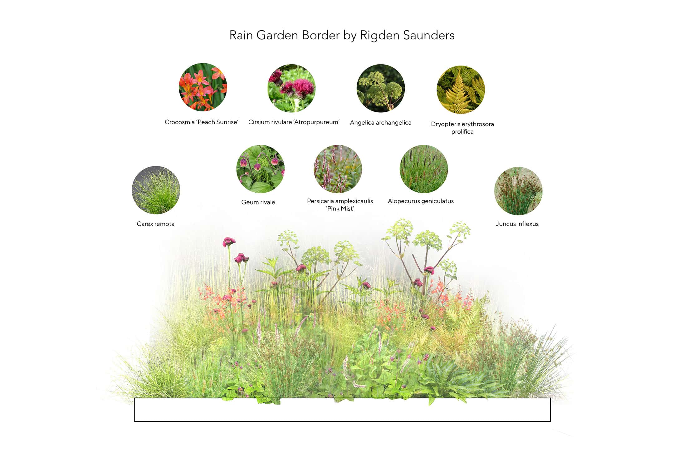 Show garden border design Belvoir Castle rain garden