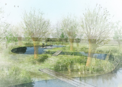 Rewilding_project_wetland_Kent