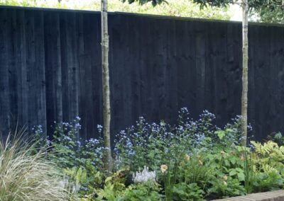 Maidenhead Garden Design Project Border