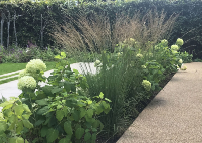 Frieth Buckinghamshire garden design hydrangea grass border
