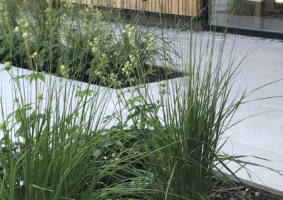 Terrace beds in our Frieth garden