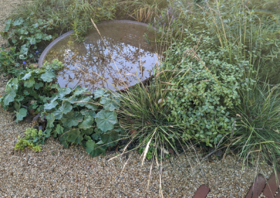 Water for wildlife in our Guildford garden