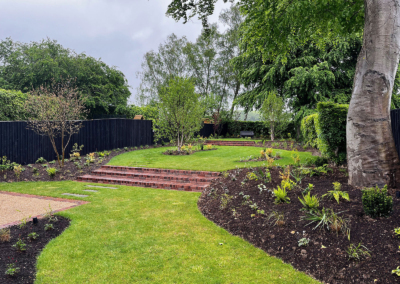 Our newly-planted woodland garden in Henley-on-Thames