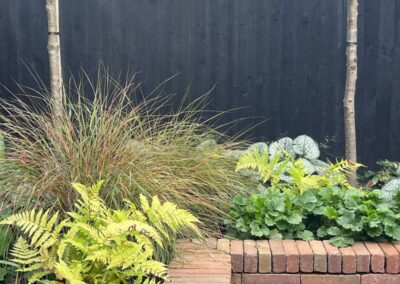 Rigden Studio Far boundary underplanting