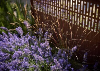 Mediterranean Garden Design Oxfordshire