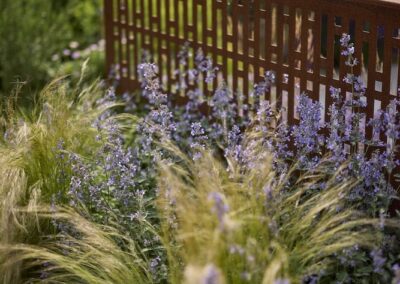 Oxfordshire Garden Design Project - Rigden Studio