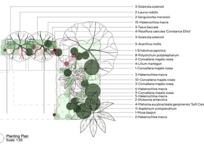 South London Georgian Garden Planting Plan