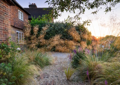 Delos inspired front garden with no lawn, featuring drought-tolerant planting.
