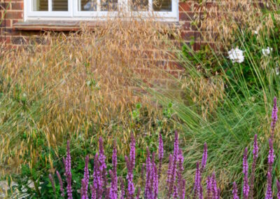 Small family gravel front garden in Surrey with planting.