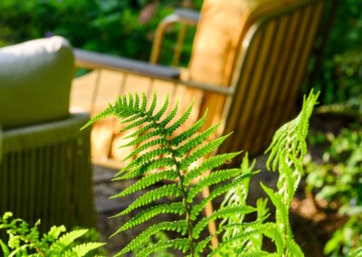 Dog-friendly garden design featuring flexible seating areas, gravel path and lush greenery.
