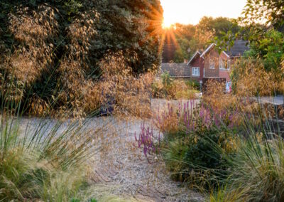Small family Mediterranean front garden in Surrey with gravel and planting.